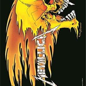 Metallica Flaming Skull